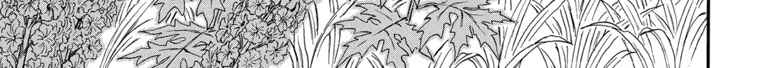 Berserk Chapter 116 page 2 - 