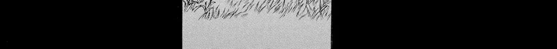 Berserk Chapter 116 page 38 - 