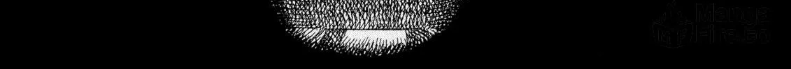 Berserk Chapter 12 page 30 - 