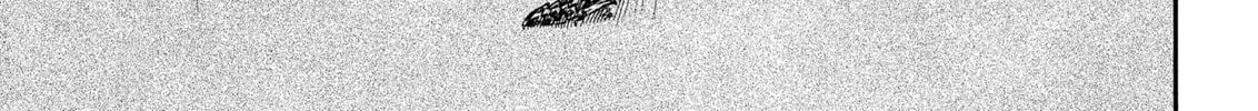 Berserk Chapter 129 page 38 - 