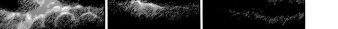 Berserk Chapter 163 page 2 - 