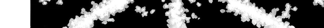 Berserk Chapter 163 page 14 - 