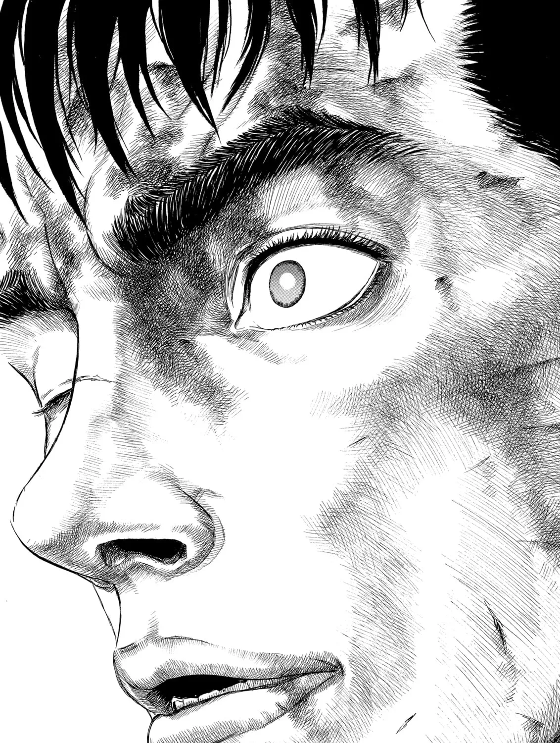 Berserk Chapter 175 page 1 - 