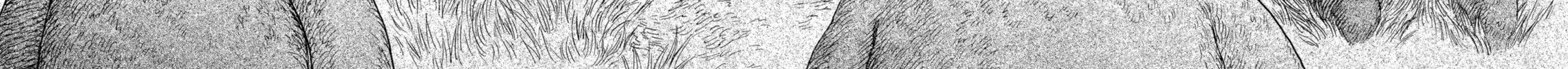 Berserk Chapter 199 page 34 - 