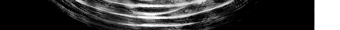 Berserk Chapter 209 page 22 - 