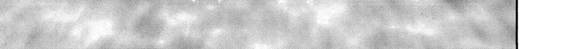 Berserk Chapter 211 page 2 - 