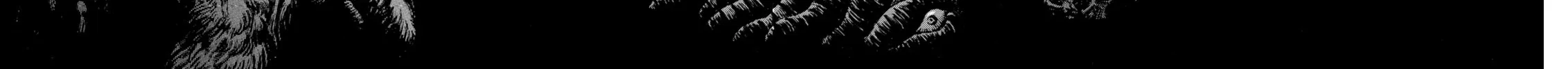 Berserk Chapter 215 page 32 - 
