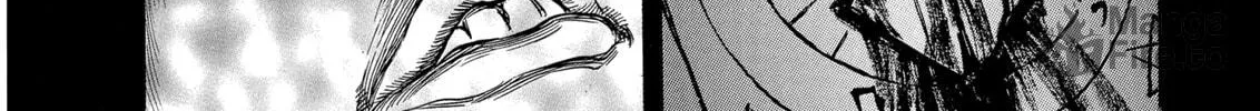 Berserk Chapter 219 page 12 - 