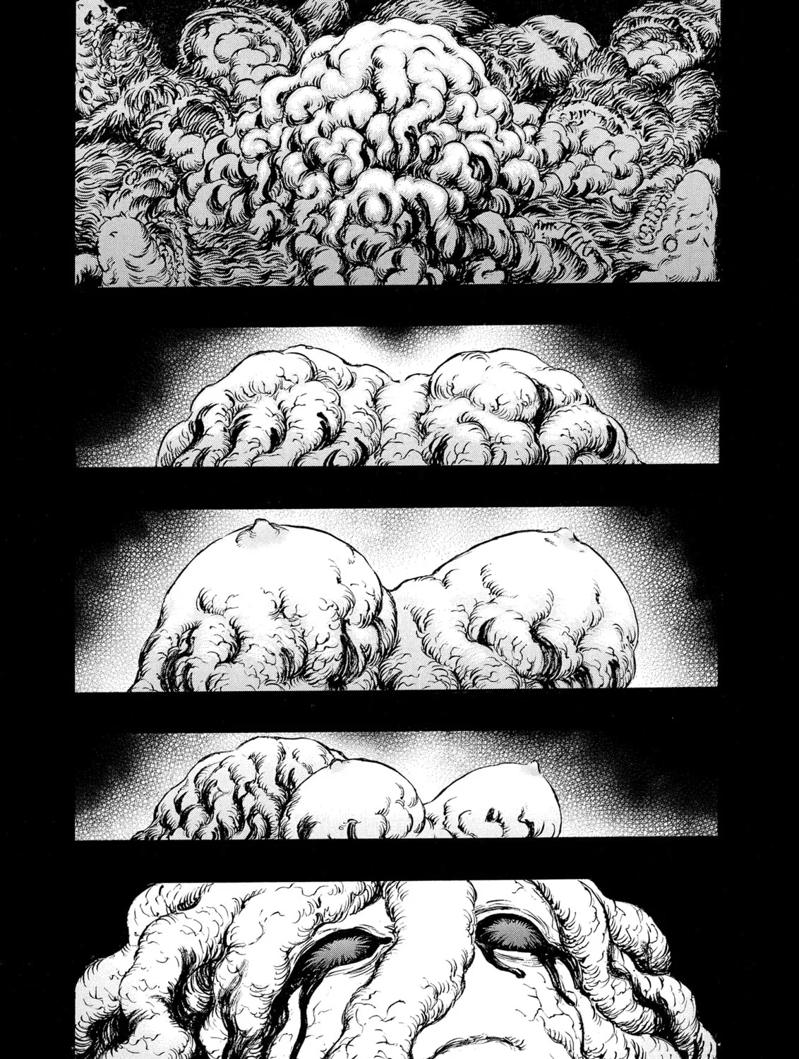Berserk Chapter 219 page 13 - 