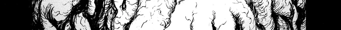 Berserk Chapter 219 page 14 - 