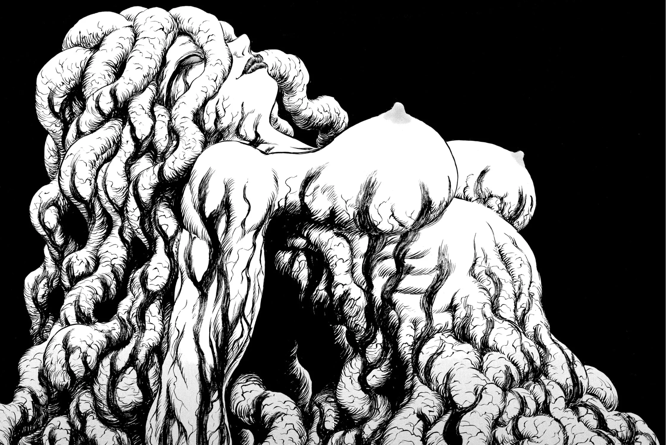 Berserk Chapter 219 page 15 - 