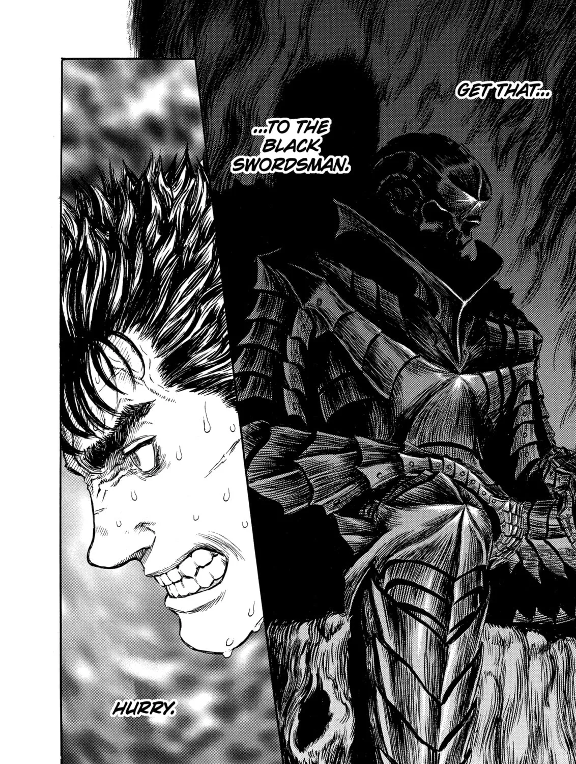 Berserk Chapter 224 page 3 - 