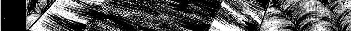 Berserk Chapter 225 page 40 - 
