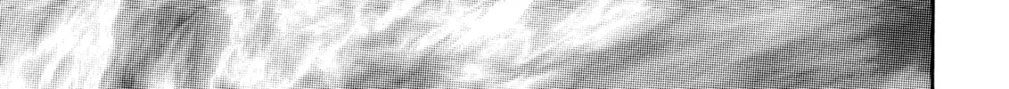 Berserk Chapter 229 page 38 - 