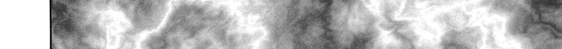 Berserk Chapter 233 page 14 - 