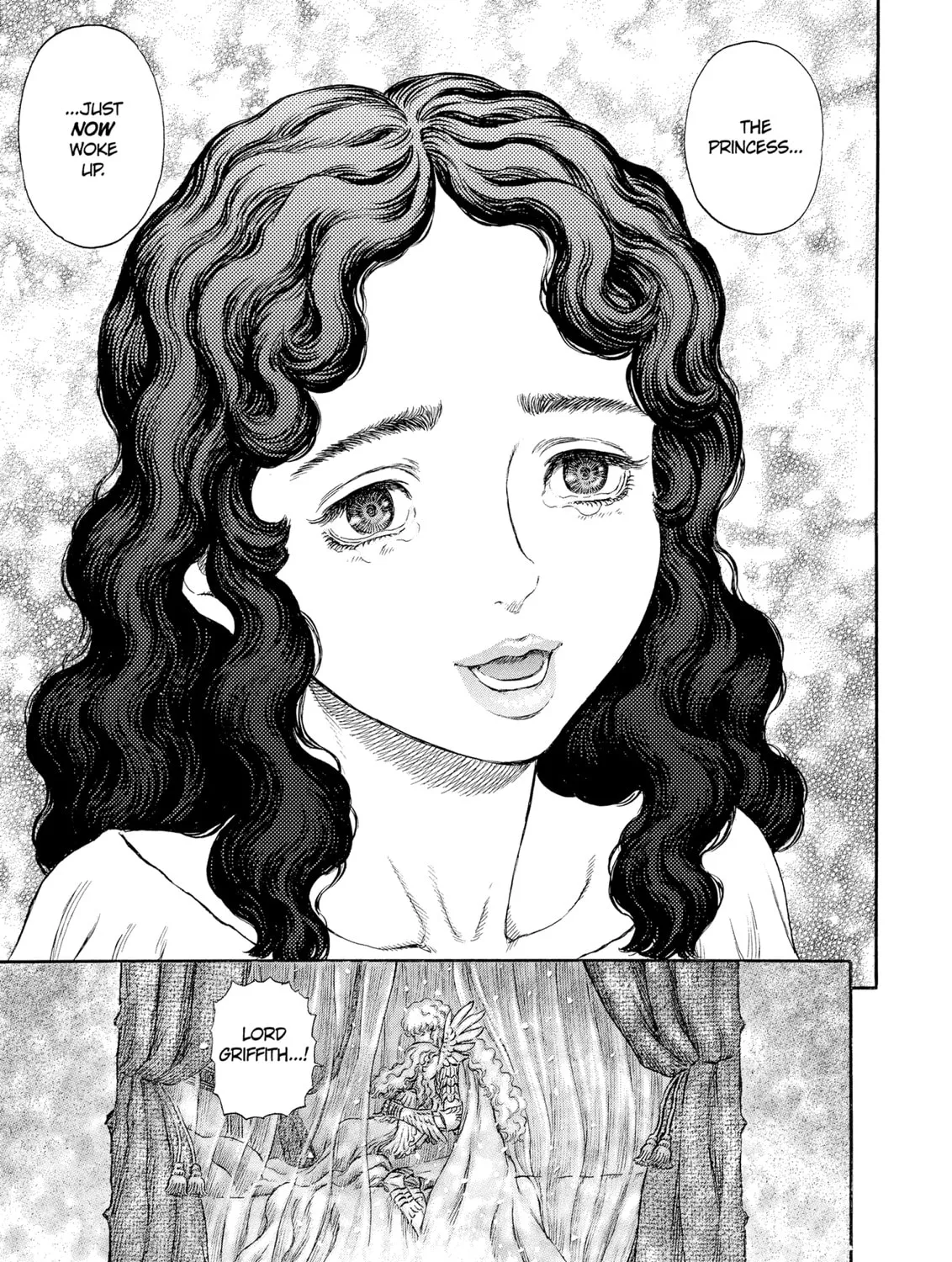 Berserk Chapter 235 page 15 - 