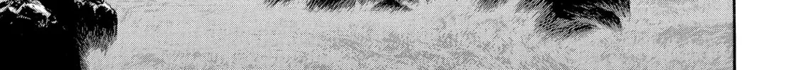 Berserk Chapter 236 page 38 - 