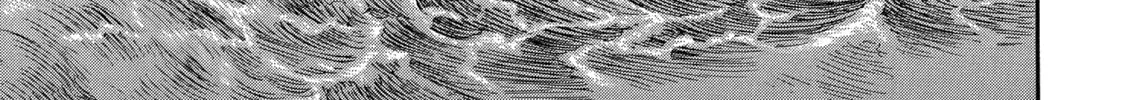 Berserk Chapter 238 page 46 - 