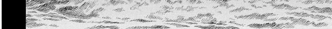 Berserk Chapter 242 page 4 - 