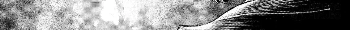 Berserk Chapter 242 page 36 - 