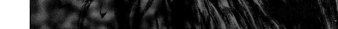 Berserk Chapter 243 page 12 - 