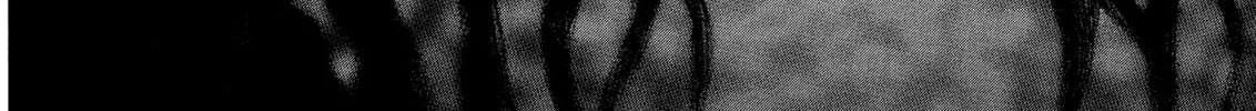 Berserk Chapter 243 page 8 - 