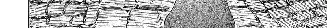 Berserk Chapter 244 page 38 - 