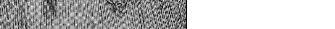 Berserk Chapter 249 page 2 - 