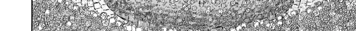 Berserk Chapter 253 page 28 - 