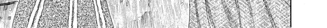 Berserk Chapter 254 page 26 - 