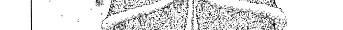 Berserk Chapter 254 page 28 - 
