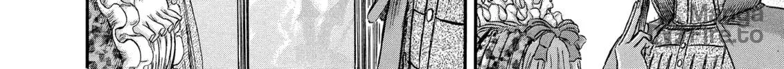 Berserk Chapter 255 page 30 - 