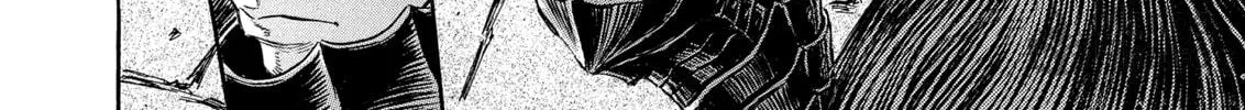 Berserk Chapter 256 page 30 - 