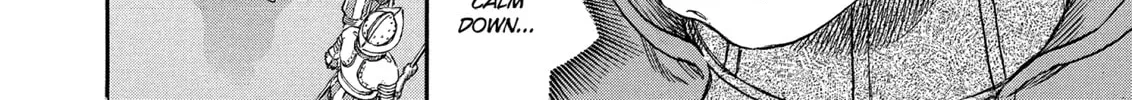 Berserk Chapter 263 page 28 - 