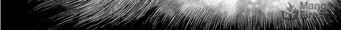 Berserk Chapter 264 page 20 - 