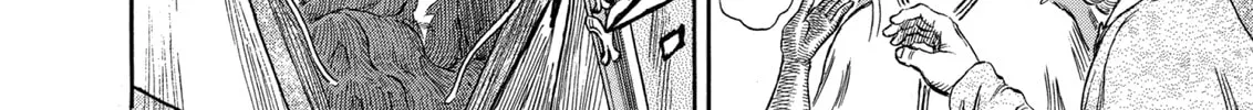 Berserk Chapter 264 page 28 - 