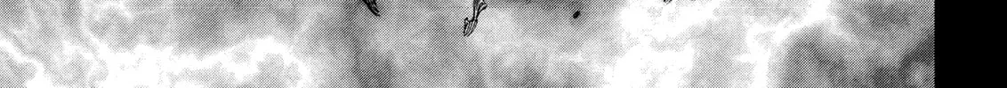 Berserk Chapter 270 page 28 - 