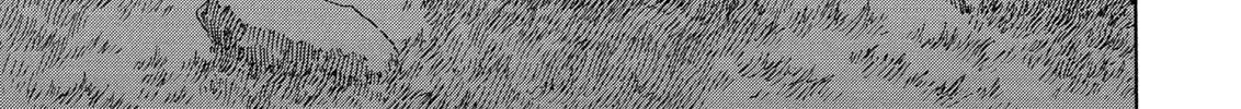 Berserk Chapter 278 page 34 - 