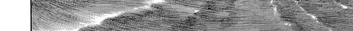 Berserk Chapter 278 page 38 - 