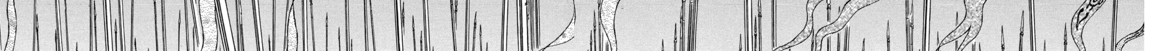 Berserk Chapter 279 page 8 - 