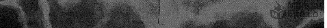 Berserk Chapter 286 page 40 - 