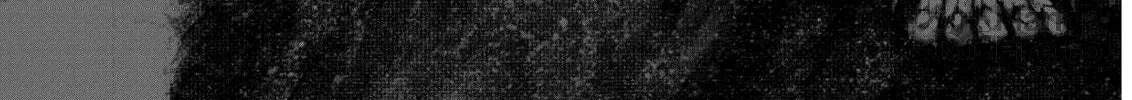 Berserk Chapter 291 page 42 - 
