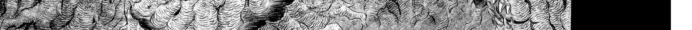 Berserk Chapter 299 page 14 - 