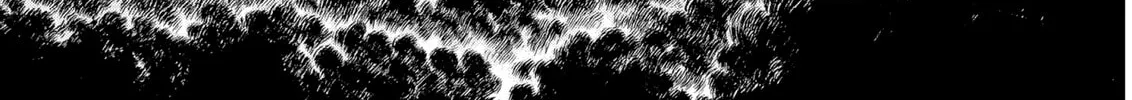 Berserk Chapter 300 page 2 - 