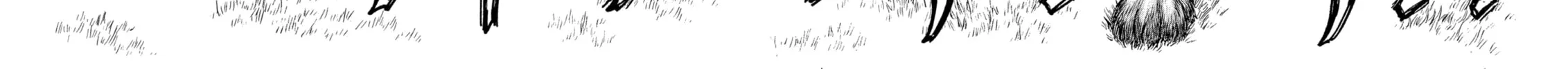Berserk Chapter 300 page 22 - 