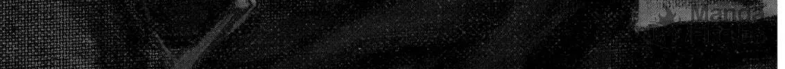 Berserk Chapter 302 page 30 - 