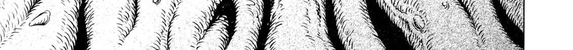 Berserk Chapter 303 page 34 - 