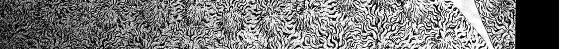 Berserk Chapter 304 page 14 - 