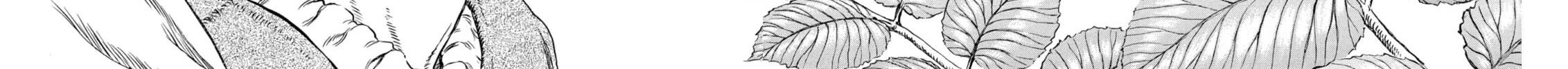 Berserk Chapter 306 page 12 - 