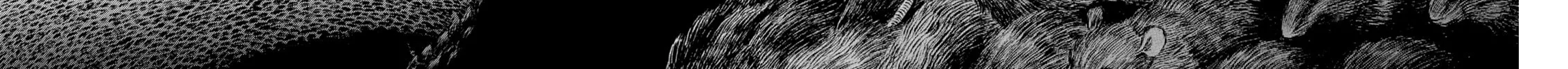 Berserk Chapter 306 page 18 - 